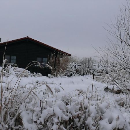 Ferienhaus Hohenlubast Grafenhainichen Exterior foto