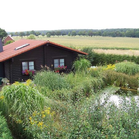 Ferienhaus Hohenlubast Grafenhainichen Exterior foto