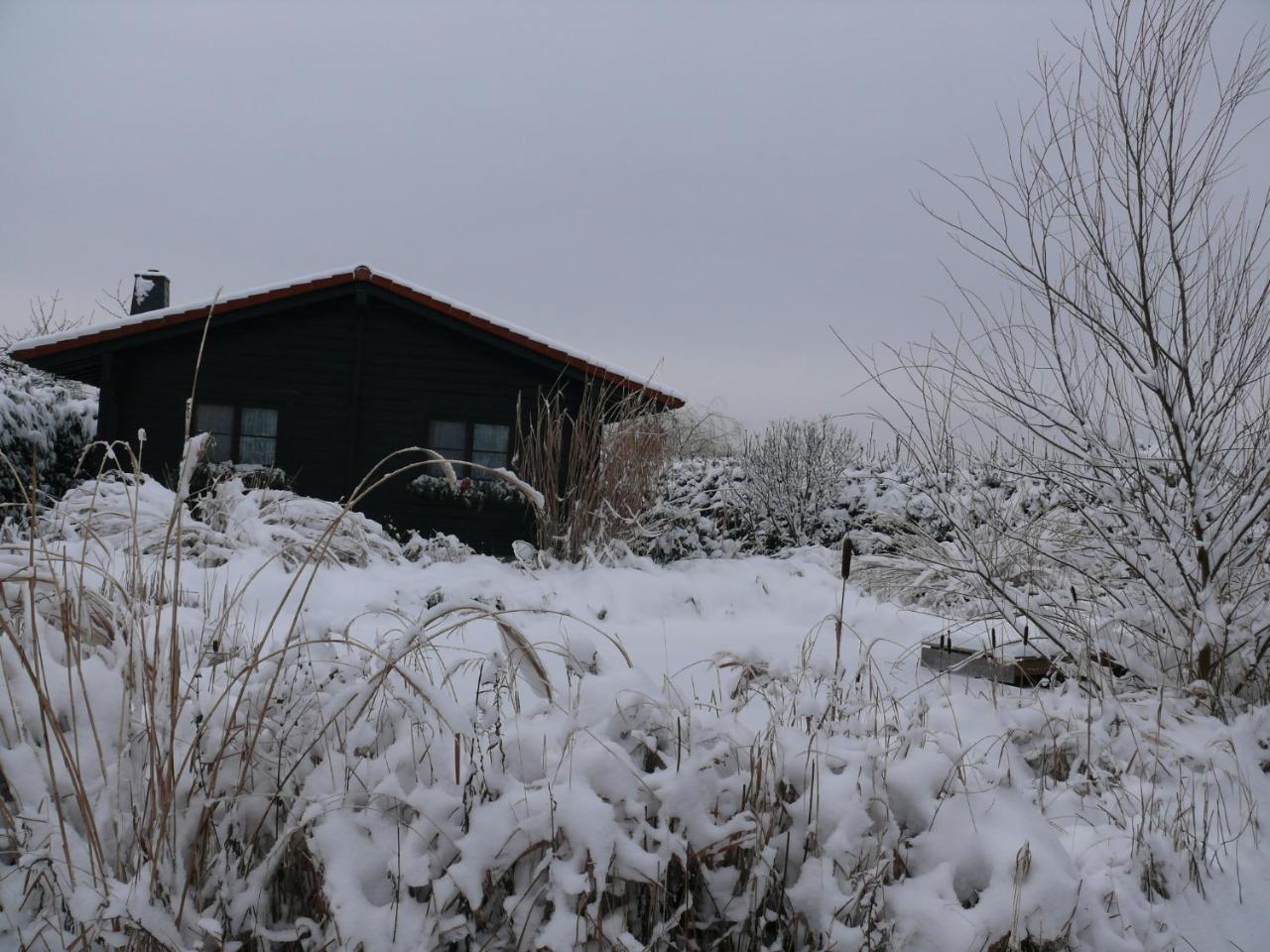 Ferienhaus Hohenlubast Grafenhainichen Exterior foto